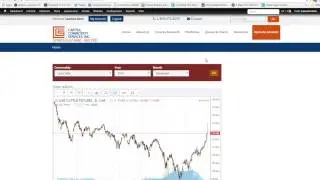 Commodities: Live Cattle Hedge Strategies with Futures & Options