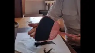 The Second Life of a Fly Killer