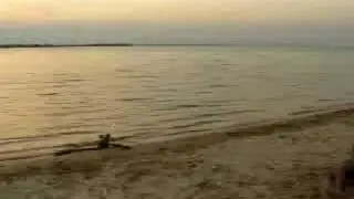 SEBA NISOLI Y SERGIO DE PECES EN EL AIRE