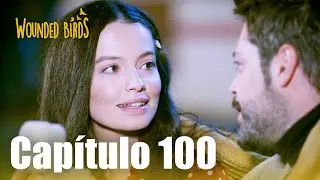 Omer Sue&ntilde;os Robados | Cap&iacute;tulo 100 (versi&oacute;n larga)