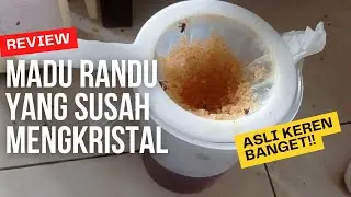 ADU MEKANIK !!! Madu Randu vs Madu Kaliandra dan Kopi Semi Karet