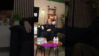 Puppies ON SET! Eric Andre Show Vibes & Weirdness #shorts