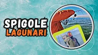 Spigole in laguna 🌅 Vlog in barca sul Veneziano 🚣&zwj;♂️ Condizioni avverse ma un risultato in'aspetto 🤩