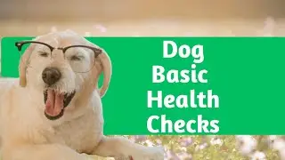 The Essential Basic Dog Health Check Guide : A Comprehensive Guide For All Basics Health Checkups