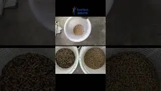 From professional color sorter manufacturers #sorting #machine #sortingmachine #sorter