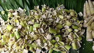 Bamboo shoots🎍