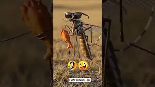 Chicken Wing Song 🍗🎵Funny animation jo aapko hasa dega #chickenwing #viralvideo #shorts #funnyshorts