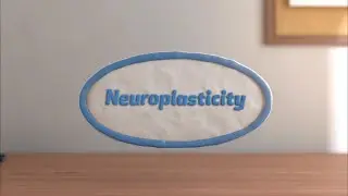 Neuroplasticity