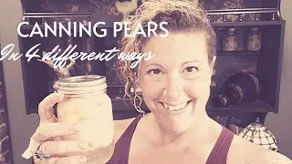 Canning Pears in 4 different ways plus pear scrap vinegar and pear flavored brandy.
