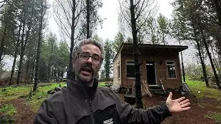 Мне нужна твоя помощь! || Давайте вместе построим хижину в лесу || Мир Вули ||