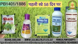 PB1401/PB1886 पहली स्प्रे details.#dhan #agriculture #icar  #pb1401 #pb1886 #fungicides #stemborer