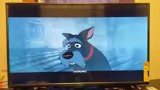 Lady and the Tramp (1955) Trusty and Jock saves Tramp from the dogcatcher.