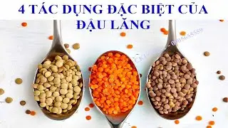 4  TÁC DỤNG ĐẶC BIỆT CỦA ĐẬU LĂNG VỚI SỨC KHỎE - LƯU Ý KHI ĂN ĐẬU LĂNG.(Ckfoody)