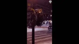 🌃 Winter Night Walk &mdash; Toronto ❄️  4K.