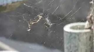 GH2 Flow Motion hack - 720p 60fps Full manual control (video 2)