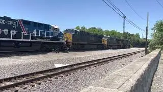 Radnor yard