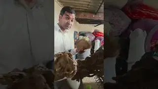 पहचान🤣😂#trending #comedy #viral #comedycomedycom edycomedyrakesh k umar nr #funnyvideo #trend #fun