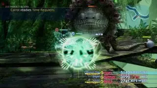 Final Fantasy XII: The Zodiac Age - Carrot (Elite Mark Hunt)