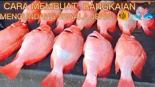 #cara memancing ikan kakap merah#dan rankaian mengundang segalah ikan dasar#papa rette mania#