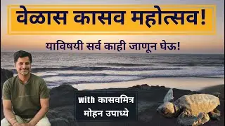 वेळास कासव महोत्सव | Velas Turtle Festival | Velas Kasav Mahotsav | Mohan Upadhye | Varun Bhagwat |