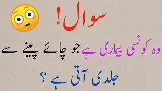 urdu quiz | Islamic question and answer | Quiz time | Common sense paheliyan
