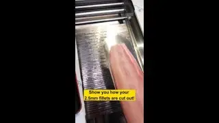 2.5mm fillets using Eruis fish cutting machine