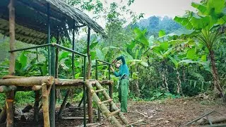 Rainforest Primitive Life: Alone, Silent, Building a Wooden Survival Cabin