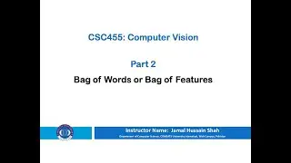 Part 2: Bag of Words or Bag of Features