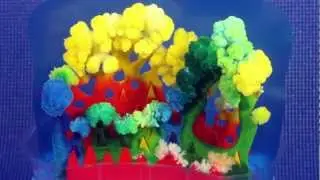 Coral Crystal Garden Time Lapse