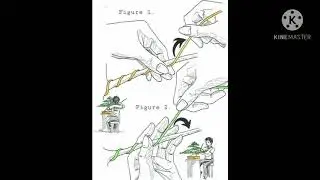 WIRING SKETCH FOR BONSAI