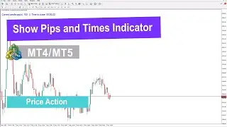📊Pip and Time Display Indicator for MetaTrader 4/5 Download &ndash; Free &ndash; [TradingFinder]
