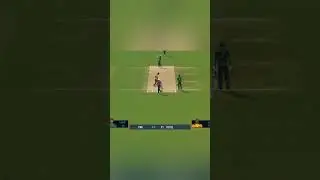 pakistan vs south africa real cricket 24 gameplay