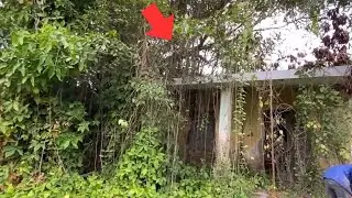 Panic Attack | Cleaning Up a Snake-Infested House of a Single Mom of 20 Years | clean up free