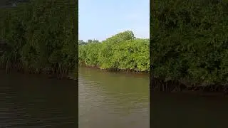 vayalapra floating park kannur