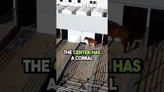 AMAZING Equestrian Center in Star Idaho Neighborhood