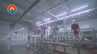 ZBHT MACHINERY Pig carcass washing and carcass processing for slaughter house