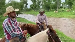 NOS AGARRO EL AGUA BUSCANDO AL TORO CHUYON, BIEN PERDIDO ANDA DESDE LOS PICOS, SONORA 🐂🌵