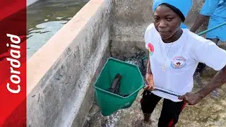 A New Era for Fish Farming in Burkina Faso | Cordaid