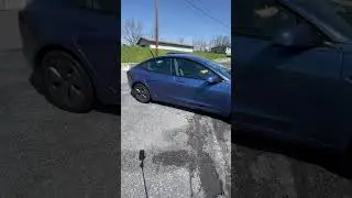 STEK Color-Shift PPF vs. SunTek Clear PPF | Which is Better for a Tesla?