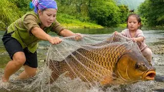 Harvesting Giant Fish for Market Sale & Cooking Pig Feed as a Family