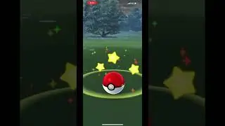 SHINY Nidoran spotlight hour! #pokemongo #pokemon #pokemonshiny