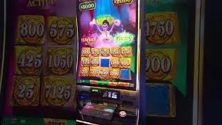 HUGE win with huge multipliers on Magic of the lamp! #slots #slotmachine #bigwin #jackpot #handpay