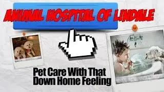 Veterinary Clinic Lindale Texas |Animal Hospital Of Lindale