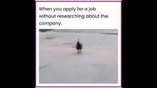 Job hiring and actual situations 😃😃