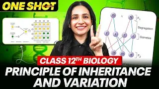 Principle of Inheritance and Variation Class 12 in One Shot | All Concepts, Tricks & PYQs |NEET 2026