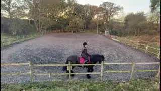Julie Calvert and Lownthwaite Heresay Eriders prelim 2f BRC league Gipping riding society November