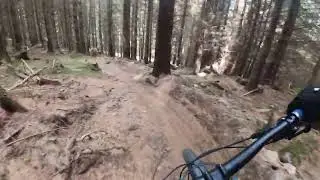 Rent_boi MTB Trail - Crone Woods Wicklow Ireland