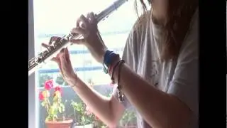 Flute - Minuetto (James Hook)