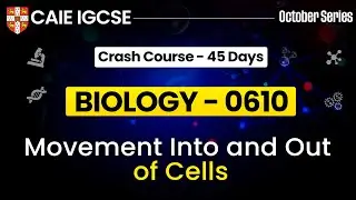 IGCSE Biology 0610: Movement Into And Out Of Cells | Cambridge IGCSE Biology | IGCSE Biology