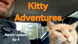 Приключения кота-приятеля на ранчо🐈 &mdash; обновление, эпизод 4